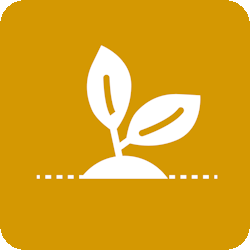 Buro SRO - Werkveld natuur, klimaat en energie (duurzaamheid)